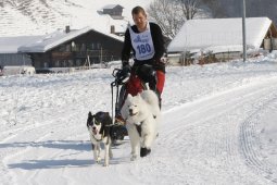 Lenk 2012 SM